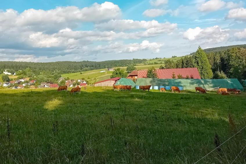 Waldacher Hof - foto 15