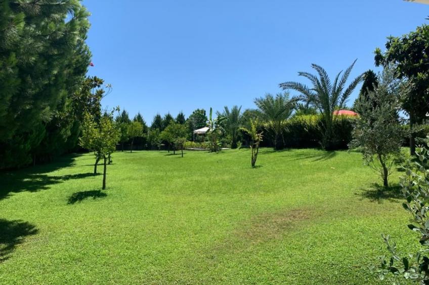 mit Terrasse - foto 57