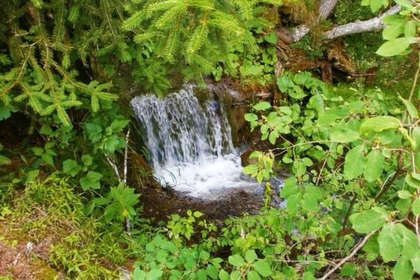 Alte typische Engadinermühle - foto 29