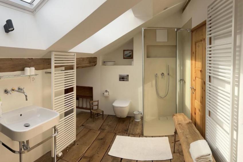 Chesa Delfins - foto 26