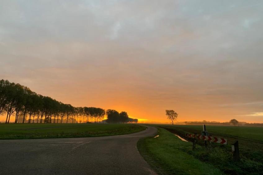 Biezenpolder - foto 34