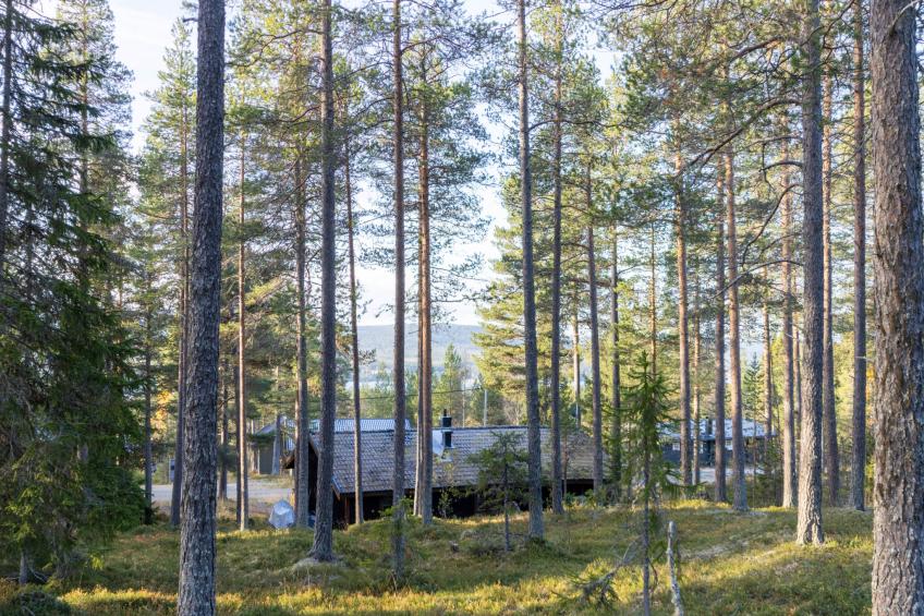 Fjällnästet - foto 25