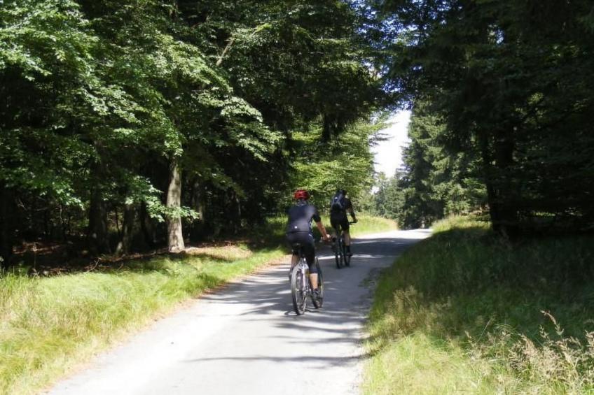 Birkenhain - foto 10