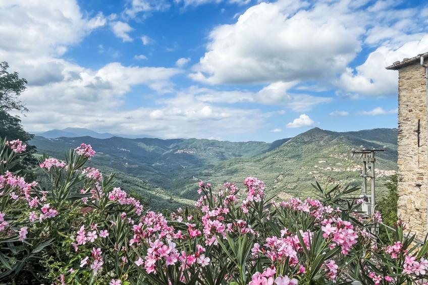 Il Collegio - foto 34