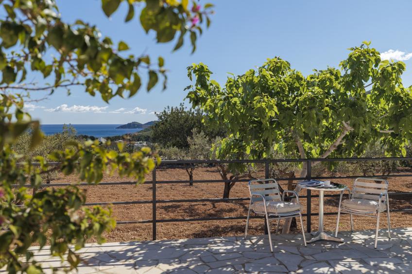 VILLA MIQUELA EN CALA BOIX - foto 31
