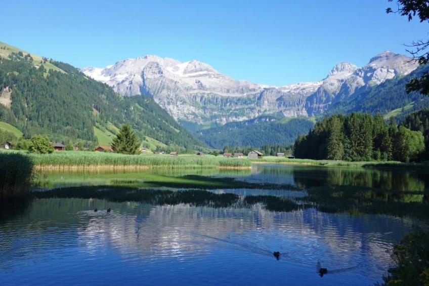 Brandegg 4 - foto 4