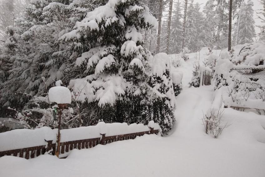 Haus Bernkogelblick in Goldegg - foto 29