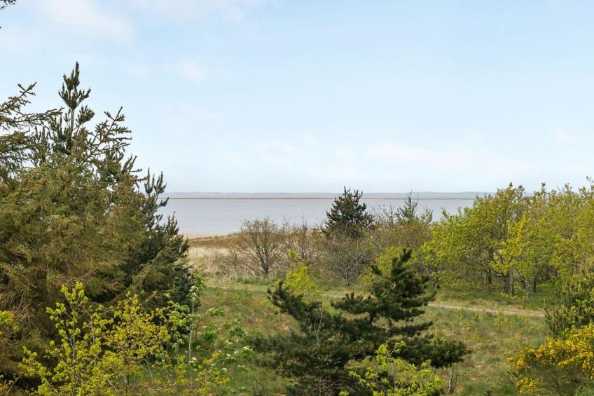 "Jonne" - 200m to the inlet in Western Jutland - foto 18