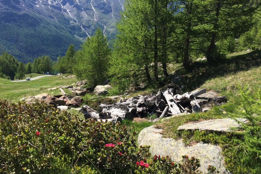 Chalet Sunstar, grosse Wohnung - foto 30