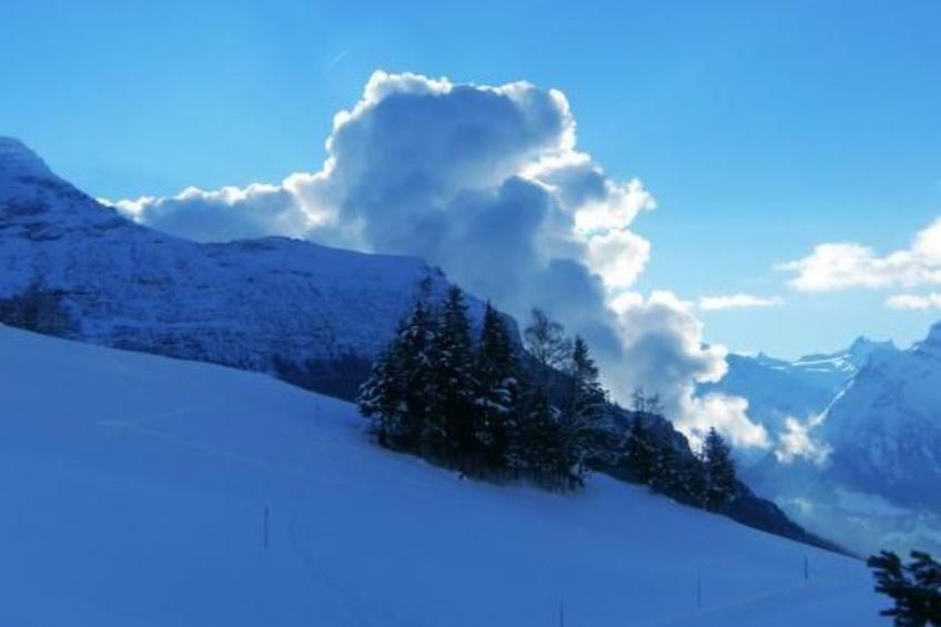 Ferien im grünen rechts - foto 20