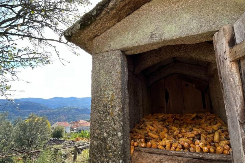 Casas das Olas 2 - Großartige Aussicht, 2 Pools, idealer Ort zum Entspannen und - foto 51