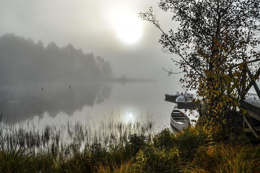 Schwedisches Glück, zwischen Wäldern und einem See - foto 36