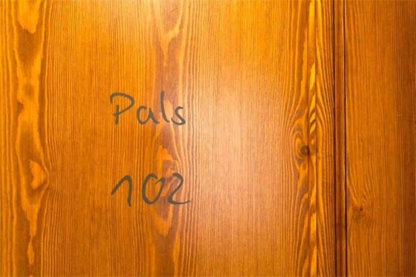 PETIT PALS 102 - PALS - foto 33