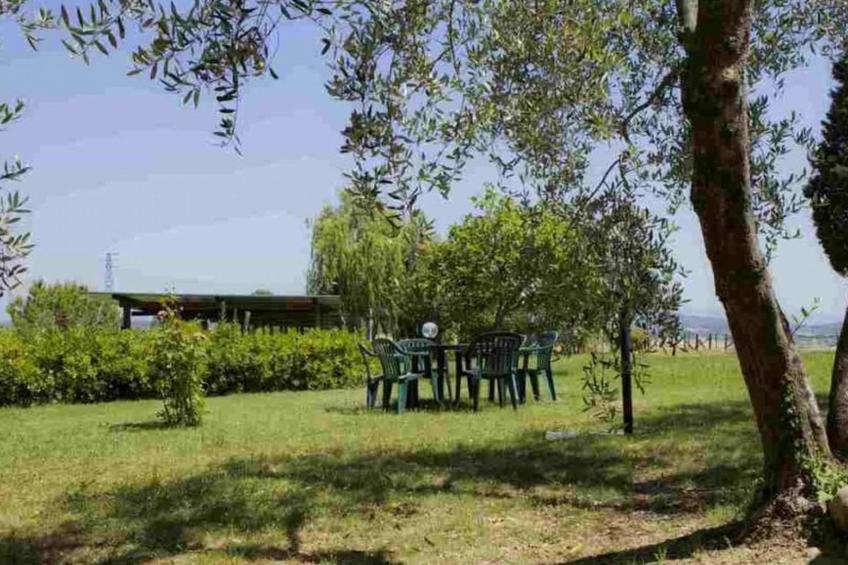 "Melograni capponi - foto 11