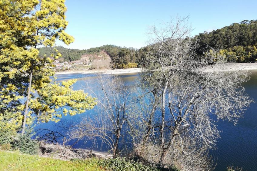 Haus des Orangenbaums - foto 33