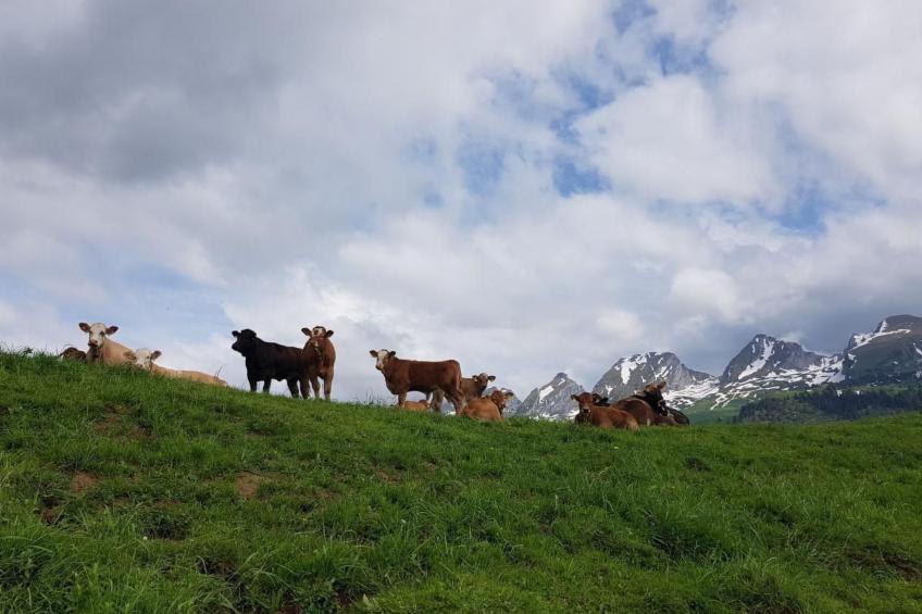 Ferien im Gugger - Wohnung Stockberg - foto 29