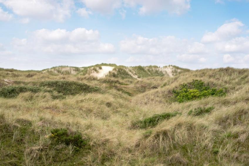 "Thrond" - 200m from the sea in Western Jutland - foto 7