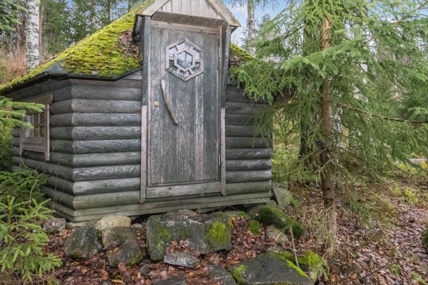 Mustikka, leppäniemen hirsihuvilat - foto 23