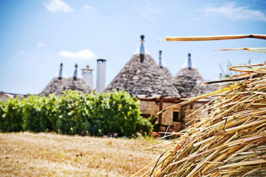 Kirschbaum Trullo, Entspannung und Essen und Wein - foto 40