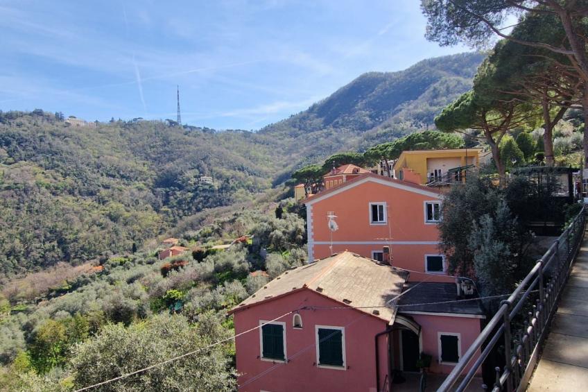 Ein Garten auf Camogli von Holiday World - foto 29