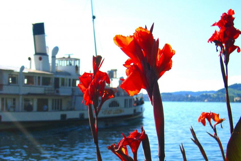 Chalet Bärgblick - foto 37