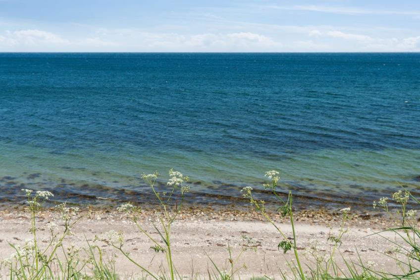 "Eyer" - 20m from the sea in Sealand - foto 30