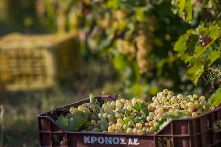 Haus in Arkadii mit Innenbalkon - foto 54