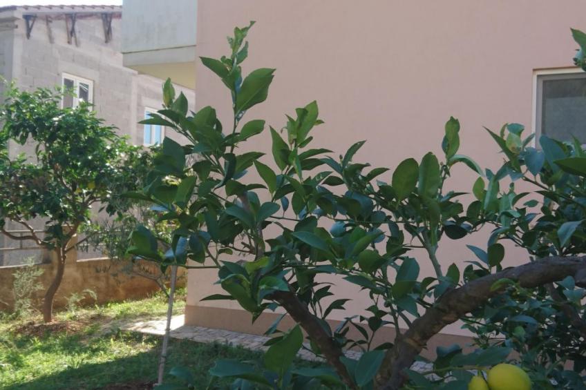 Michele-Grejp - foto 17