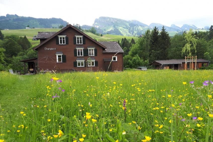 Studio Chic mit Whirlpool - foto 10