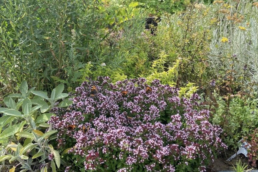 Alte Dorfschule - foto 33