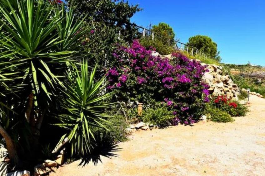 Villa Fenice Scopello Atemberaubender Panoramablick - foto 49