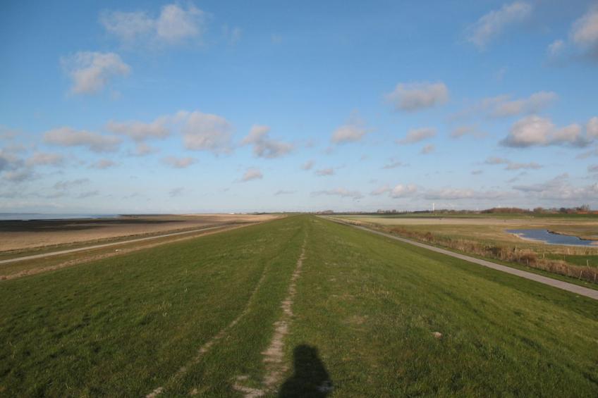 267870 - foto 12