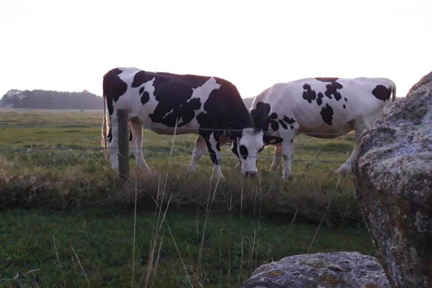 Vakantiepark de Noordster 1 - foto 27