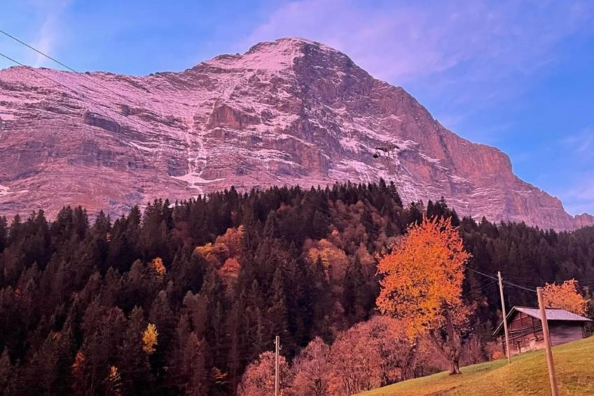 Chalet am Bühl - foto 43