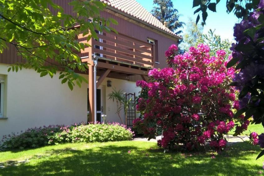 Appartement in Schönfeld mit Großem Garten - foto 6