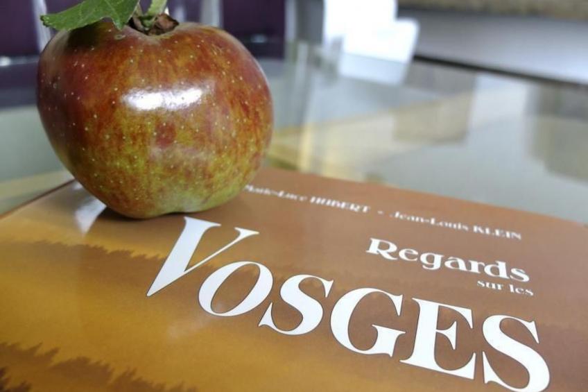 Villa "La Folie des Vosges" (Die Folie der Vogesen) - foto 5