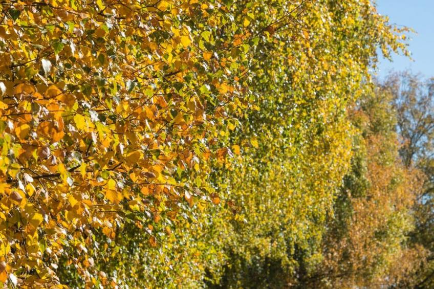 Moderne Wohnung in Pöls mit großer Terrasse - foto 29