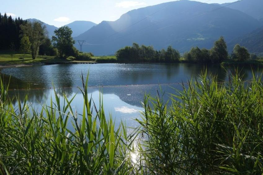 Waldblick in Steinfeld - foto 18