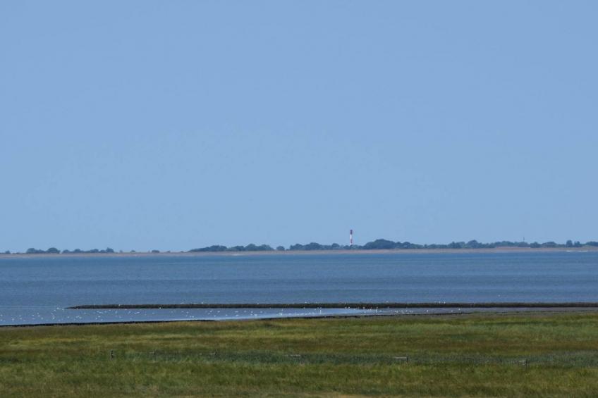 in Sehestedt mit Garten - foto 18