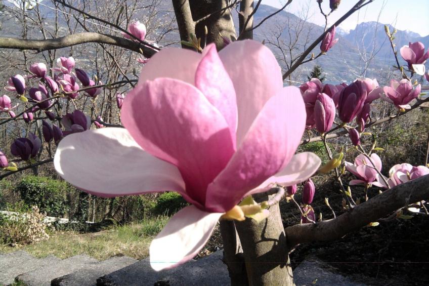 Casa Tornina - foto 28