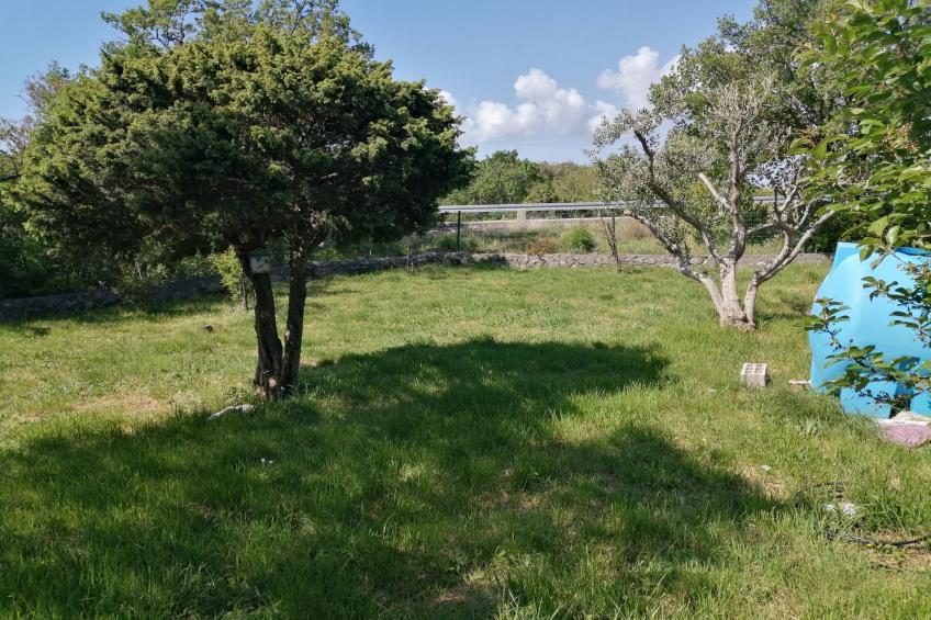 Apartment Serene - One Bedroom Apartment with Terrace - foto 7