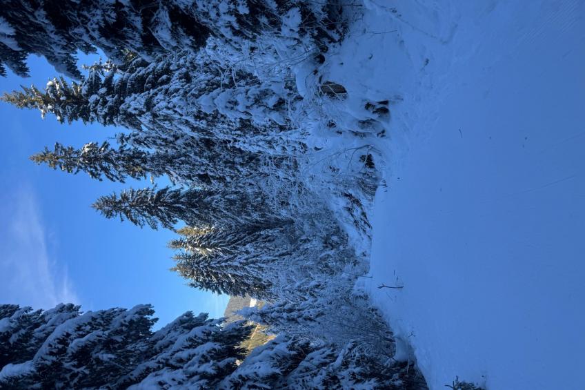 Morgins 6P, Ski-in Ski-out, Parkplatz, zentral, WiFI - foto 41