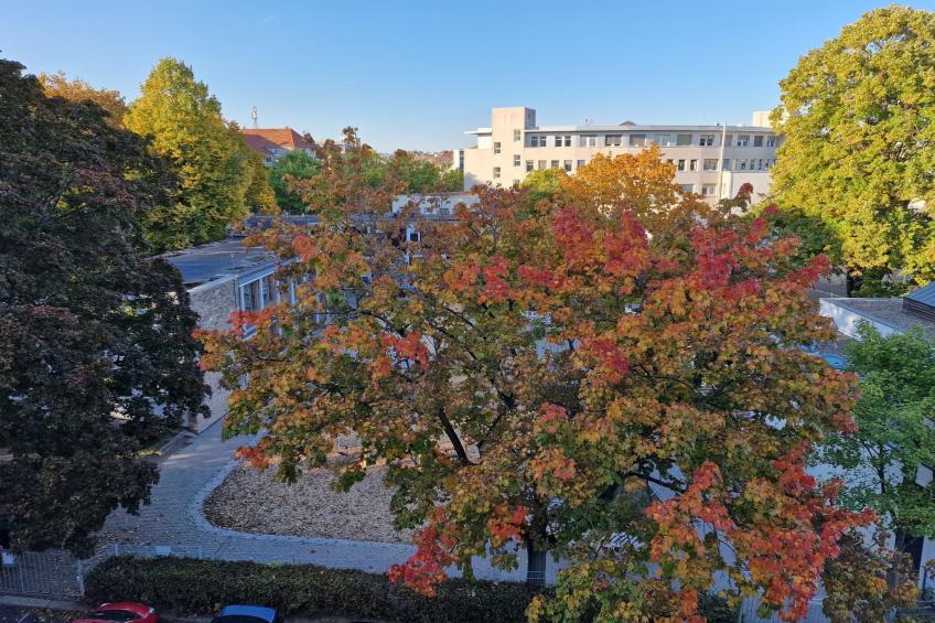 Exklusives und helles Apartment im Zentrum - foto 42