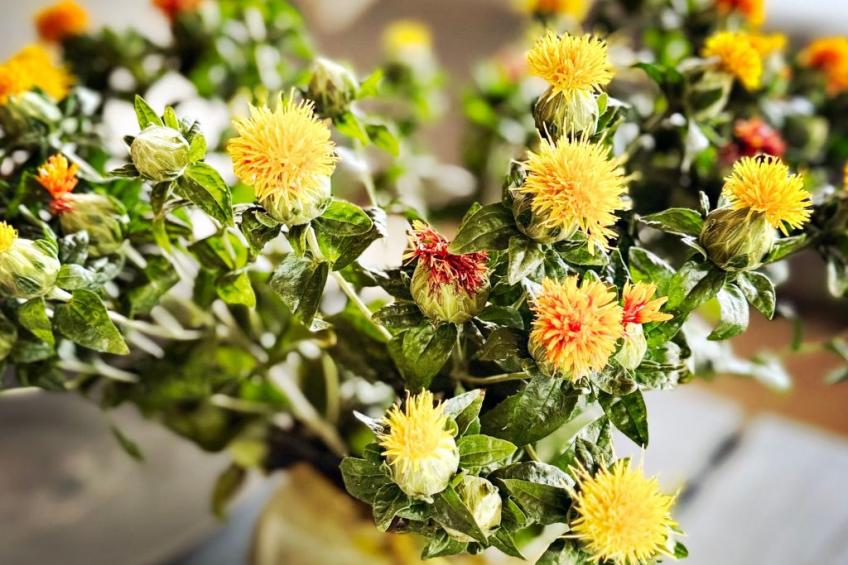 NEU!   dasErbhaus - foto 31