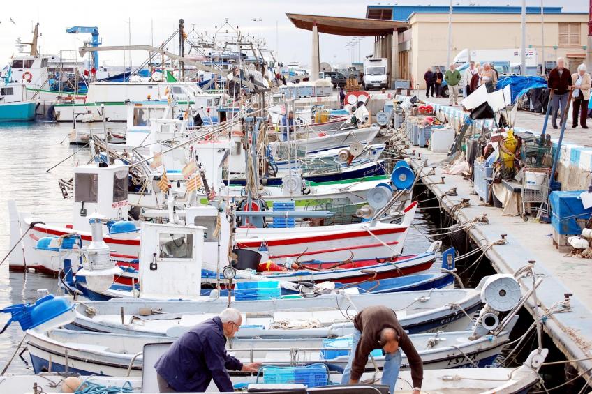 1216 THALASSA Estudio - foto 19