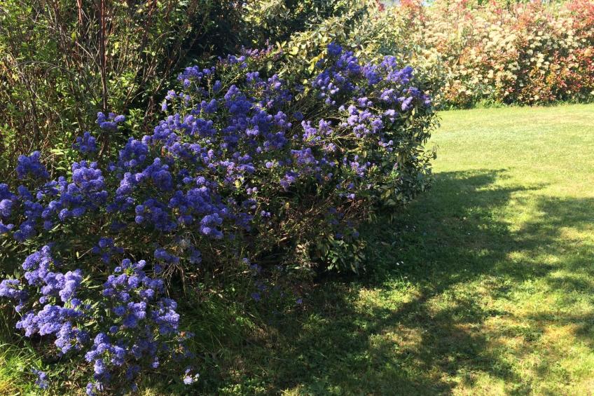 Landhaus La Villa Bolero - foto 33