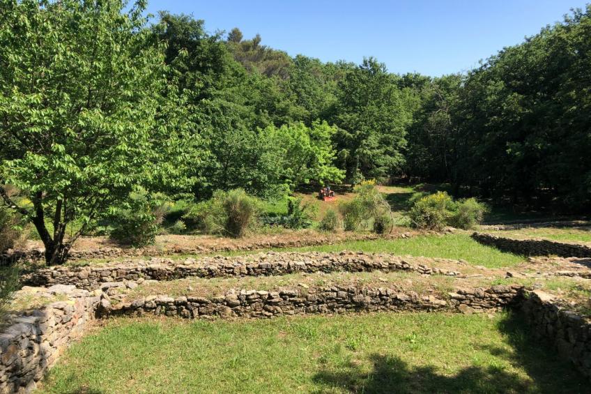 Mago in Ameglia - foto 35