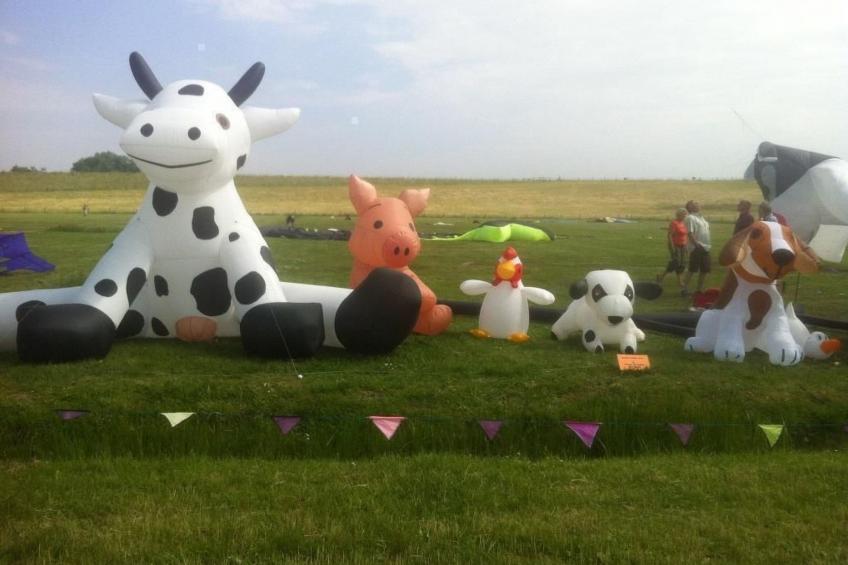 Storchennest - foto 30