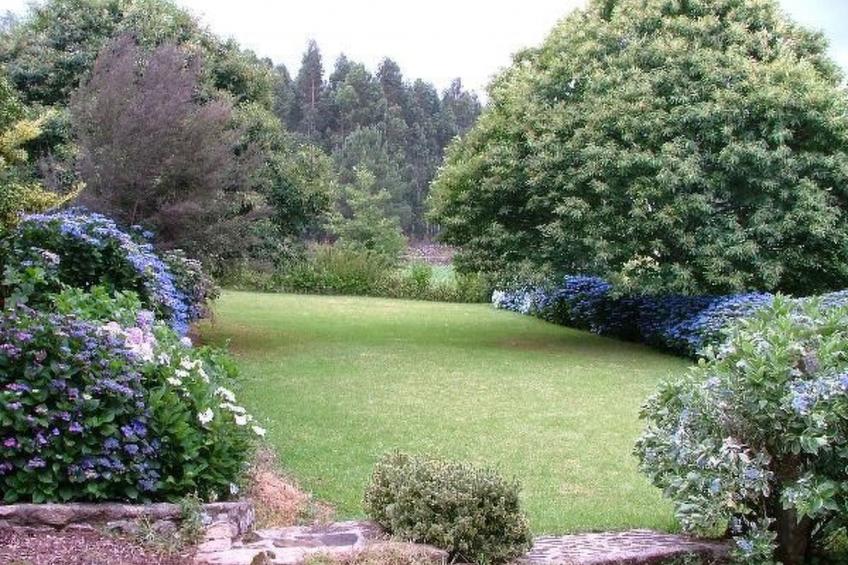 Finca "Quinta do Bento Novo" - foto 14