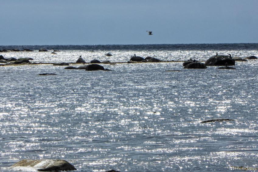 Åptafjorden (SOW684) - foto 30